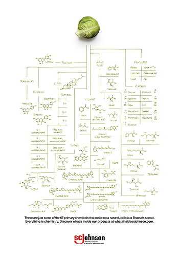 Click here to get the downloadable everything is chemistry brussels sprout poster
