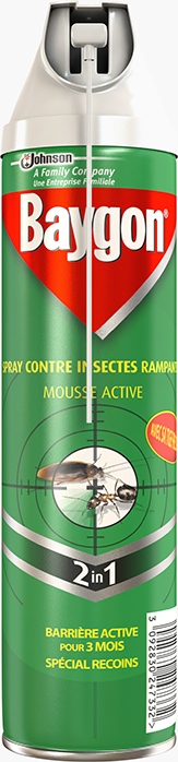 Baygon® Spray contre Insectes Rampants - Mousse active