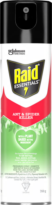 Raid on sale spray spiders