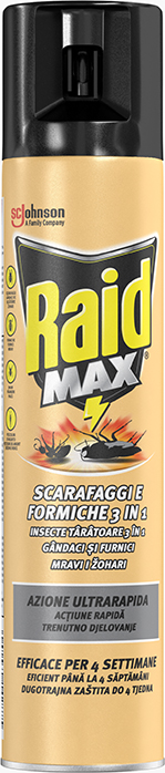 Raid® Max Spray Gândaci și Furnici cu acțiune îndelungată