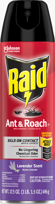 Raid shop for roaches