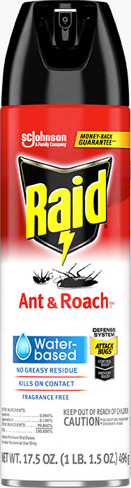 Raid® Ant & Roach Killer 26 - Water Based