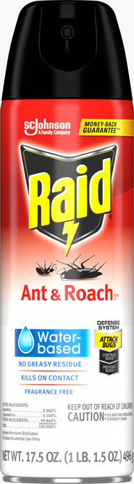 Raid® Ant & Roach Killer 26 - Water Based