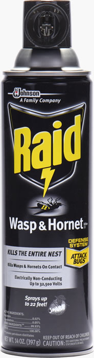 Image result for images of raid spray