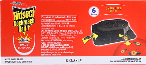 racun serangga in english